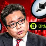 XRP News: Ripple CTO Holds Off RLUSD DeFi Bridge Plans Citing KelpDAO-Like Risks