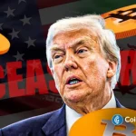Top Crypto Tax Accountants and Firms – A Global List