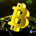 0As Volatility Fades, How Are Investors Participating in Crypto Markets?